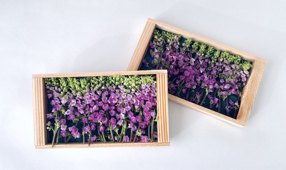 花穂 株式会社東京農産